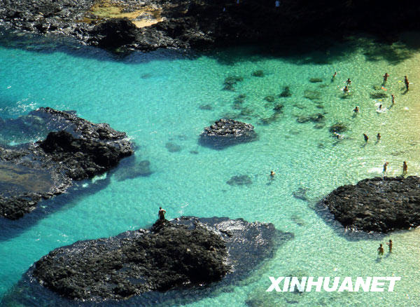 尔南多—迪诺罗尼亚岛MG不朽情缘美丽的费